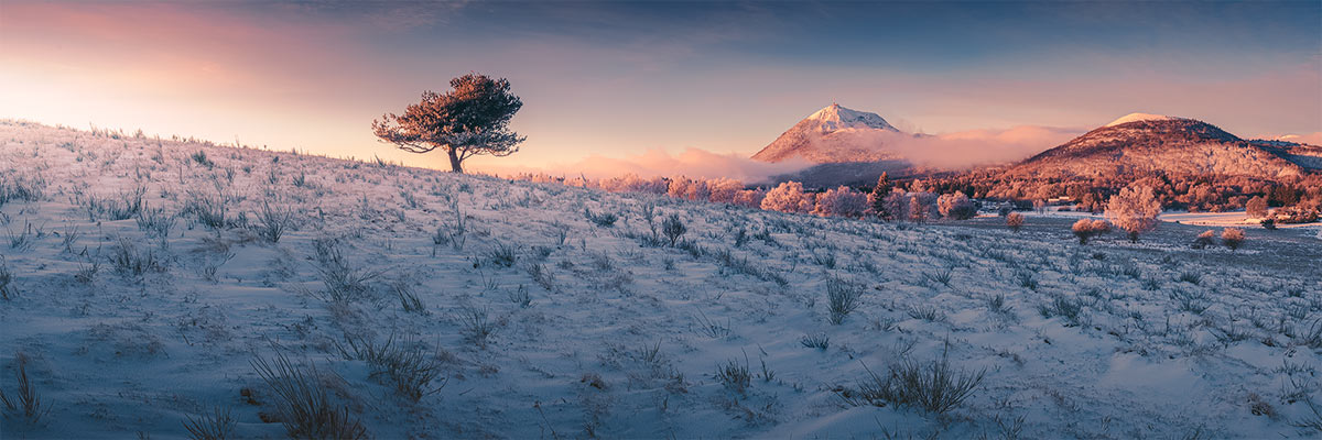 Arbre solitaire et la chaine des puys, un matin en hiver, Auvergne, par BrOk